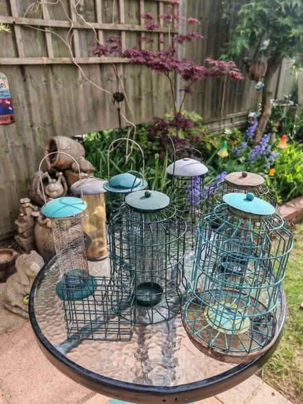 Photo of free Bird feeders (Oakley RG23) #1