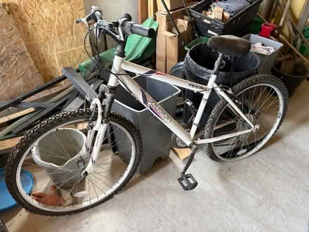Photo of free Ladies bike (CT1) #1