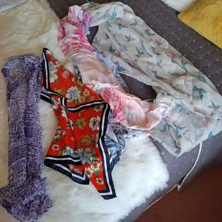 Photo of free 4 scarves. 2 large, 2 small (Charminster BH8) #1