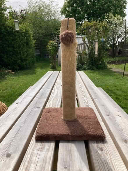 Photo of free Scratching post (Upper Radley OX14) #1