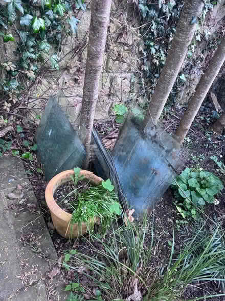 Photo of free Greenhouse Glass (Rathmines) #2
