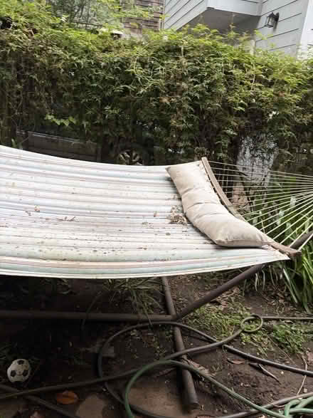 Photo of free Hammock (Fairfax, CA) #1