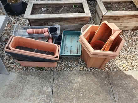 Photo of free Assorted plant pots and trays (Abbeydale GL4) #1