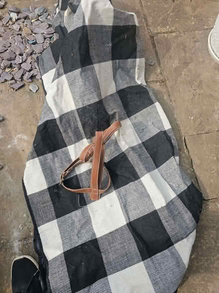 Photo of free Picnic blanket (Bromham MK43) #1