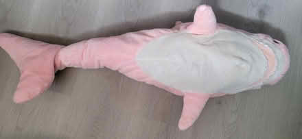 Photo of free Medium size shark plush (Broadview/Gerrard) #3