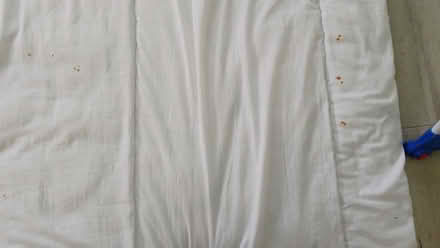 Photo of free Duvet ,10tog (Langley Park DH7) #2