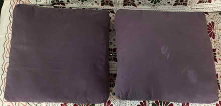 Photo of free Two sofa cushions, each 16" square (Bethesda 20814 near BCC HS) #1