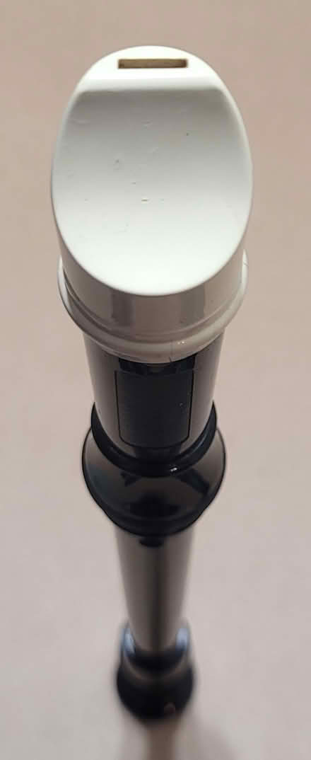 Photo of free Recorder (Broadview/Gerrard) #3