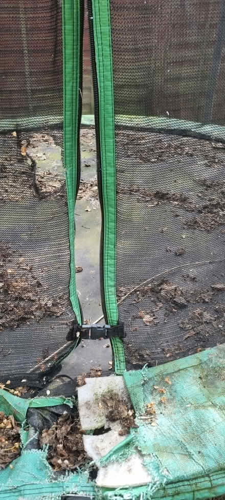 Photo of free Trampoline foe garden (Stoke Newington N16) #4