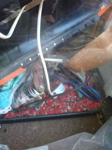 Photo of free 2 small fish tanks (Tulloch PH1) #4