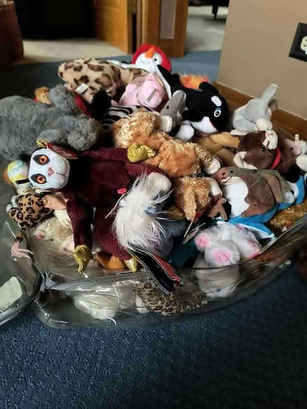 Photo of free About 100 Ty Beanie Babies (Near Belmont and Ogden) #1