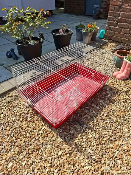 Photo of free Guinea Pig Cage (Clayhanger WS8) #2