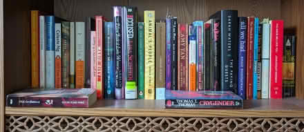 Photo of free Non-toxic novels (Ann Arbor Northwest Side) #3