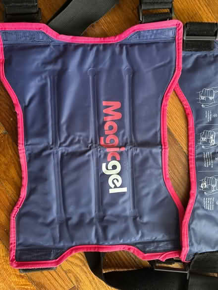 Photo of free Cooling gel packs for back (Ballard) #1