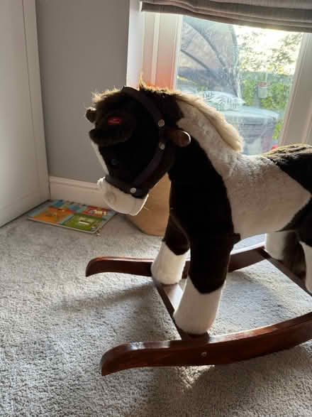 Photo of free Child’s rocking horse (Frodsham WA6) #2
