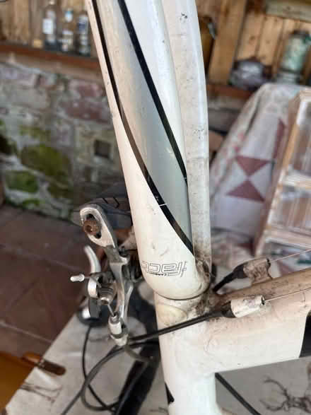 Photo of free Specialised bike frame (Culgaith CA10) #3