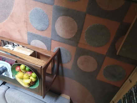 Photo of free Rug for garden/allotment (Walkley S6) #1