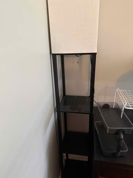 Photo of free Shelved lamps (Ballard) #1