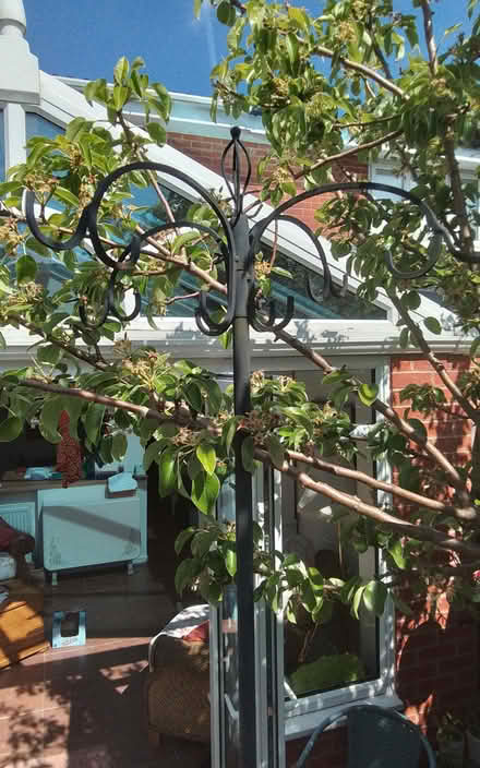 Photo of free Bird Feeding Station (Timperley WA15) #1