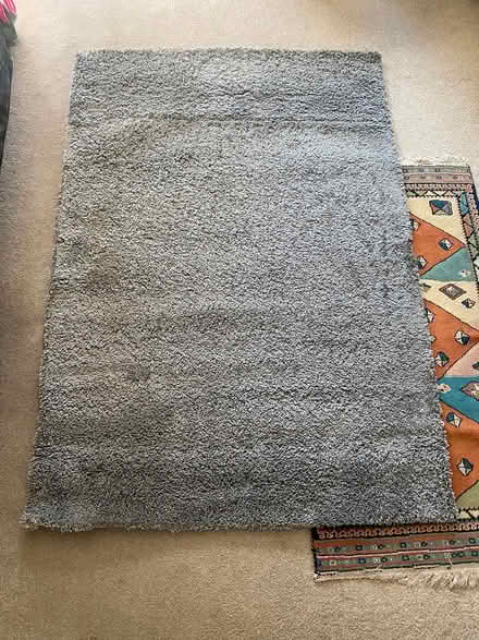 Photo of free Rug (Privett PO12) #2