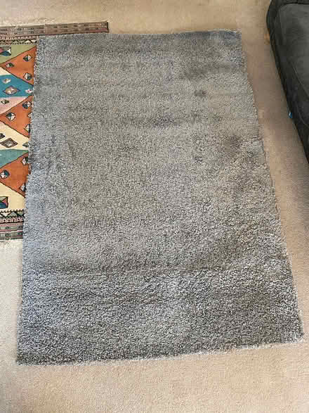 Photo of free Rug (Privett PO12) #1