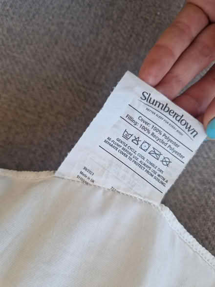 Photo of free Pillow (SE10) #3