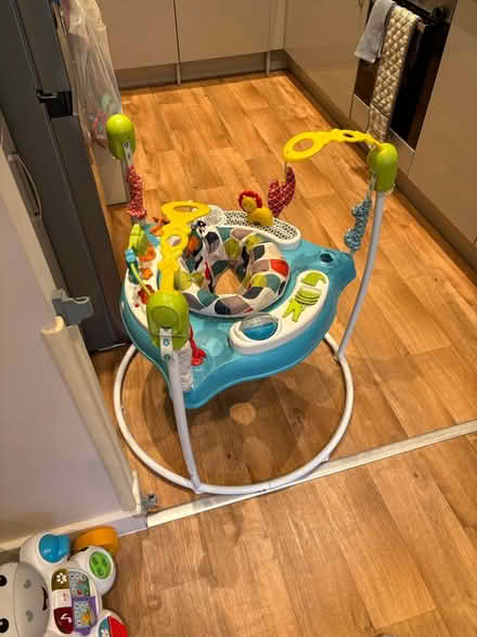 Photo of free Baby bouncer (Ponders End EN3) #3