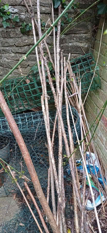 Photo of free Garden canes and wire fencing - various sizes and materials (Kidlington OX5) #2