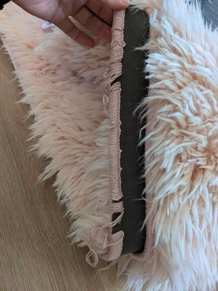 Photo of free Ruggable soft pink shag rug 6'x9' (High St and Santa Rita) #4