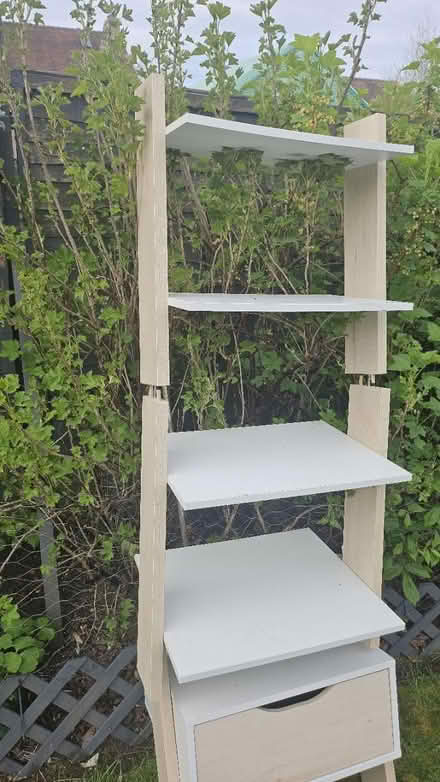 Photo of free Ladder shelf (Corstophine EH4) #2