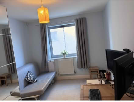 Photo of free Sofabed (West Thamesmead SE28) #2