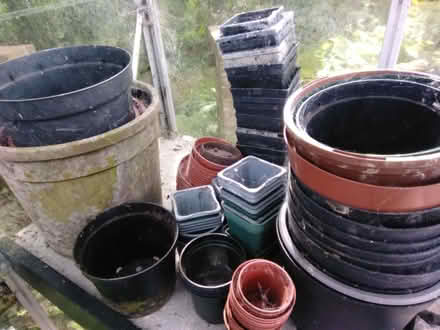 Photo of free Plant Pots (Fareham PO15) #1