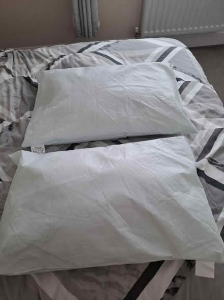 Photo of free 2 New Pillows (Wythall B47) #1