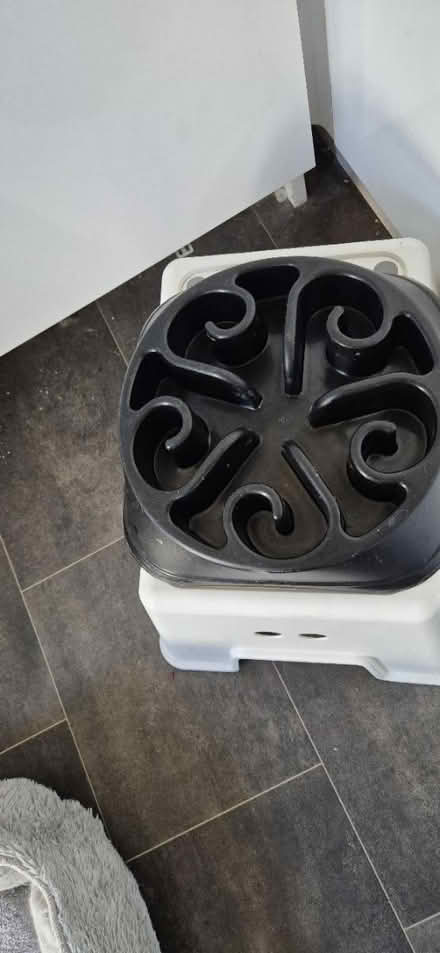 Photo of free Dog slow feeder (tooting) #1