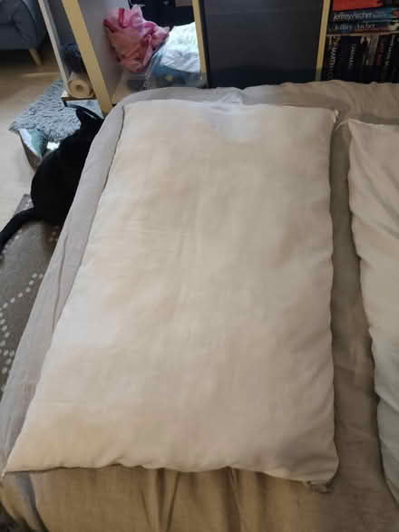 Photo of free Two 70*40 pillows (Richmond TW9) #3