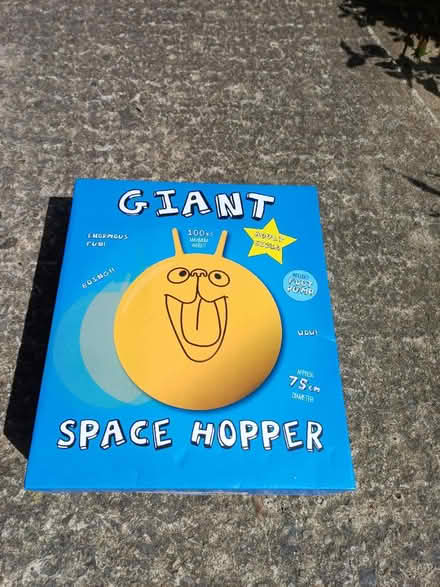 Photo of free Giant Space Hopper (Heworth. YO31) #1