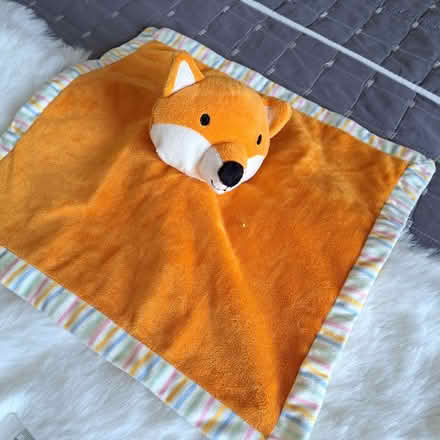 Photo of free Puppy comfort square (Charminster BH8) #1