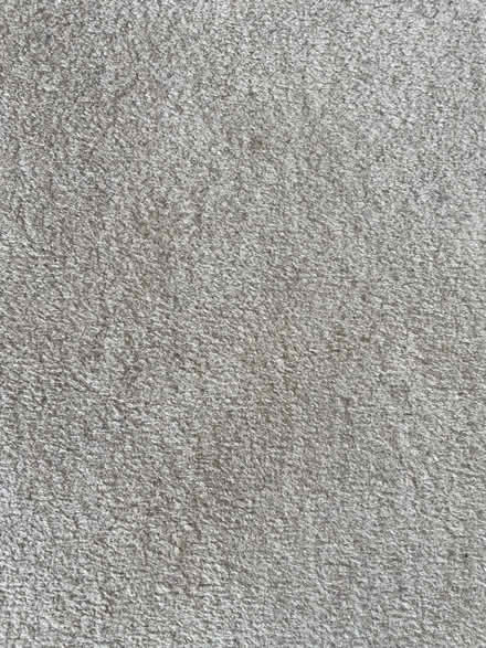 Photo of free Carpet 7m x 4m (Bucknell SY7) #3