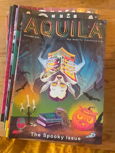 Photo of free Job lot of Aquila magazines (Bloxham OX15) #1