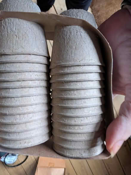 Photo of free Pots for growing seeds (Hertford SG13) #1