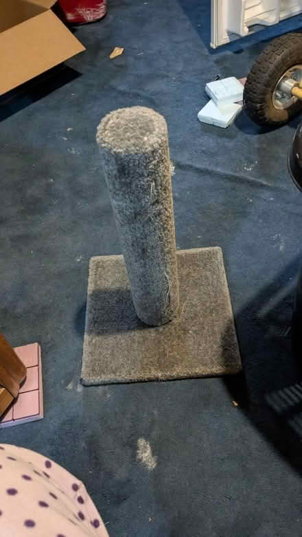 Photo of free Cat scratching post (Salmon Creek) #1
