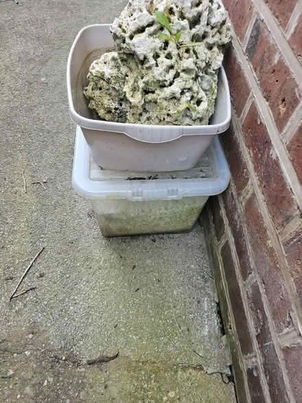 Photo of free Live rock and stones (Swinton M27) #3