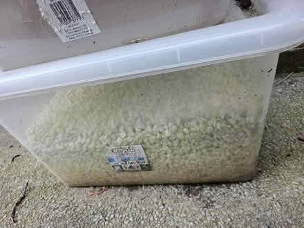 Photo of free Live rock and stones (Swinton M27) #2