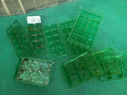 Photo of free Seed trays and plug trays (Hoole Village CH2) #2