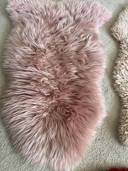 Photo of free Various small rugs (Waterlooville) #2