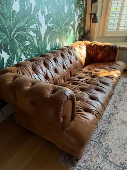 Photo of free A leather Chesterfield from John Lewis (Twickenham TW1) #1