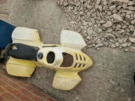 Photo of free shell (Longridge) #1