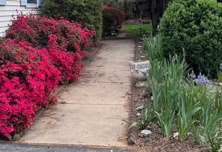 Photo of free Stone planter (19711) #2