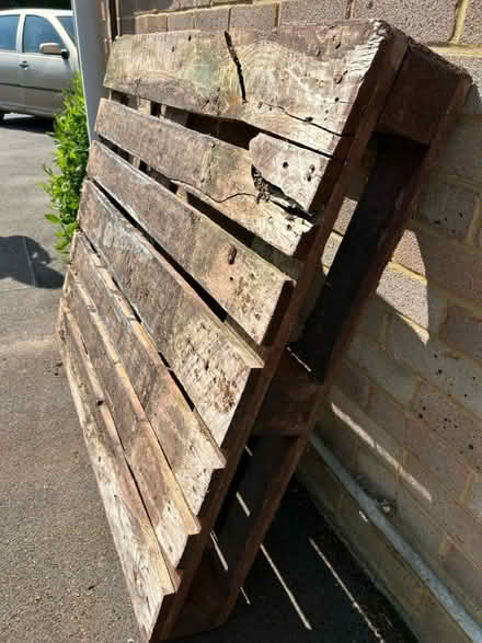 Photo of free Wooden pallet (RG9 Henley) #3