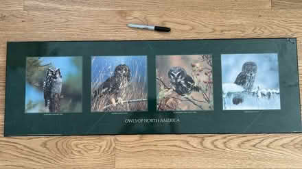 Photo of free Owl wall hanging (Hintonburg) #1